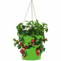 Superherostuff Enameled Galvanized Steel Strawberry Herb & Floral Hanging Planter Apple Green PA1789976